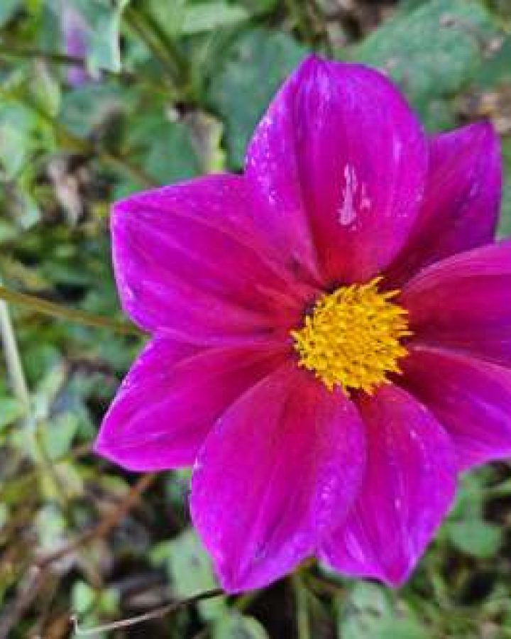 Plaisirs partager — photo 2